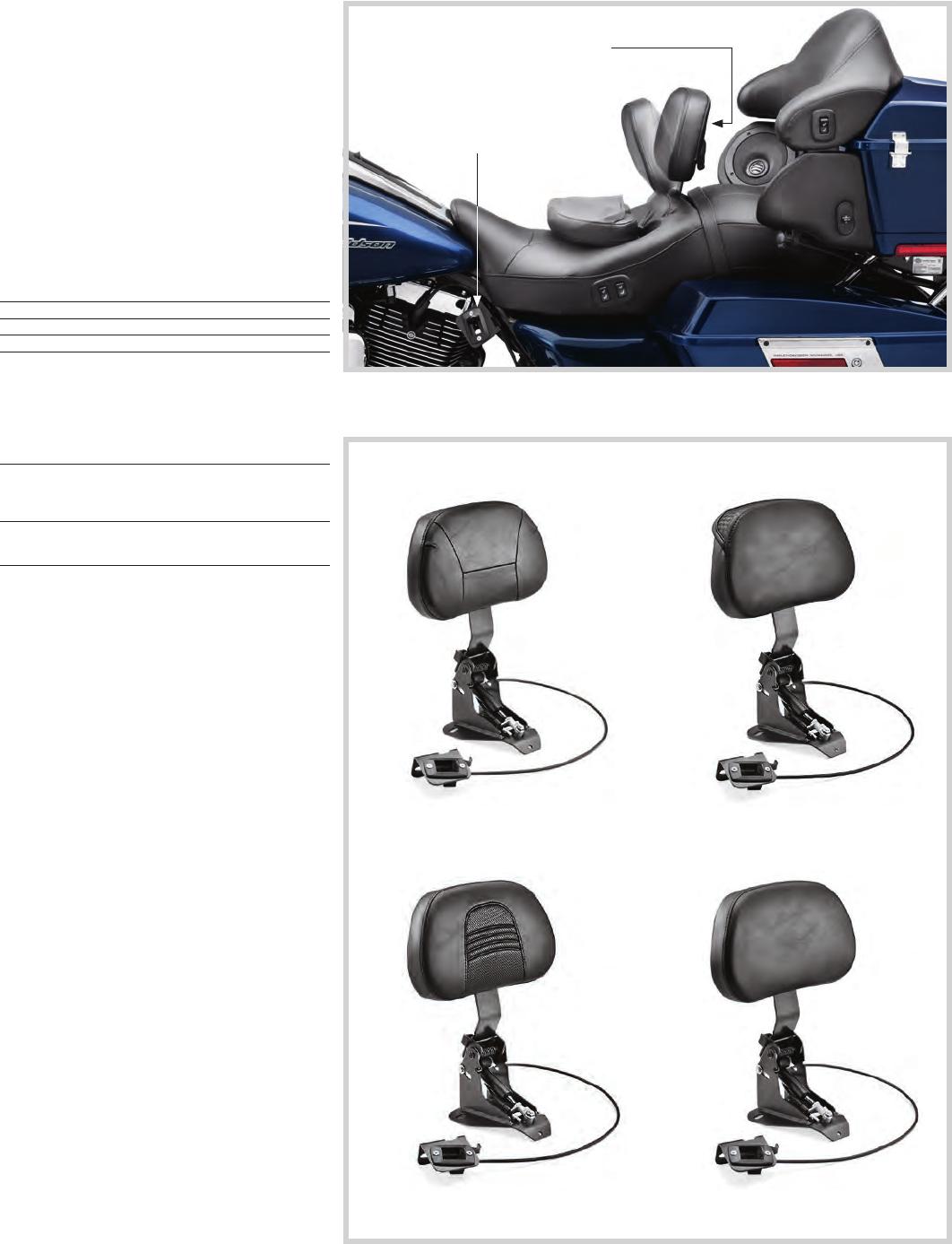 Adjustable Rider Backrest Mounting Kit 52596-09A